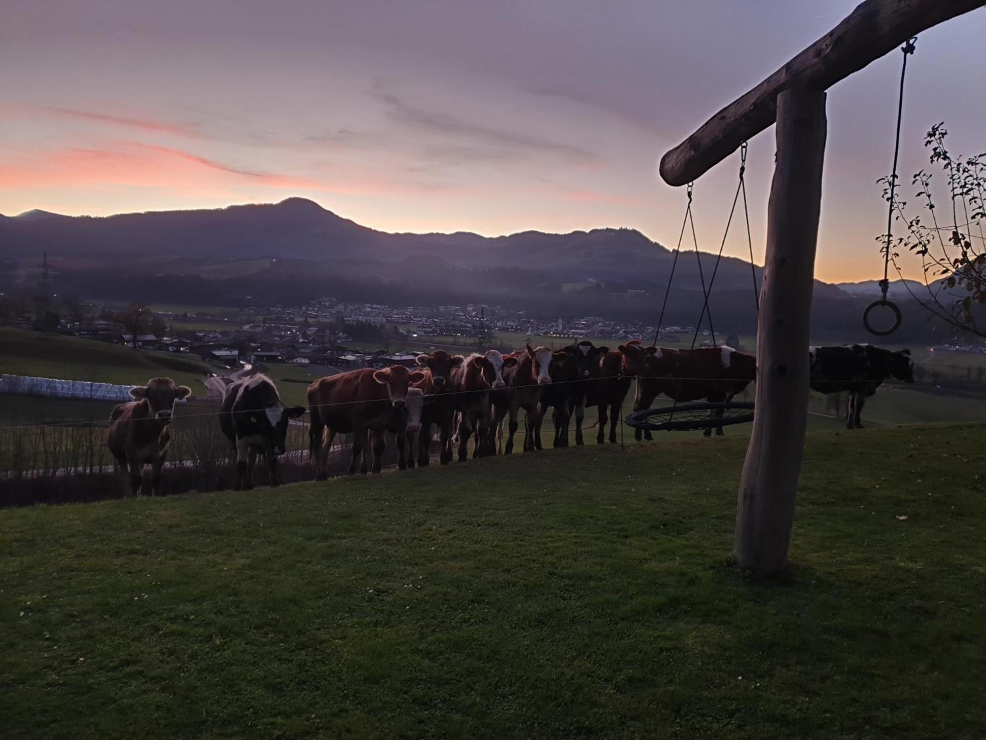 Griesbachhof-Wilder Kaiser Oberndorf in Tirol Luaran gambar