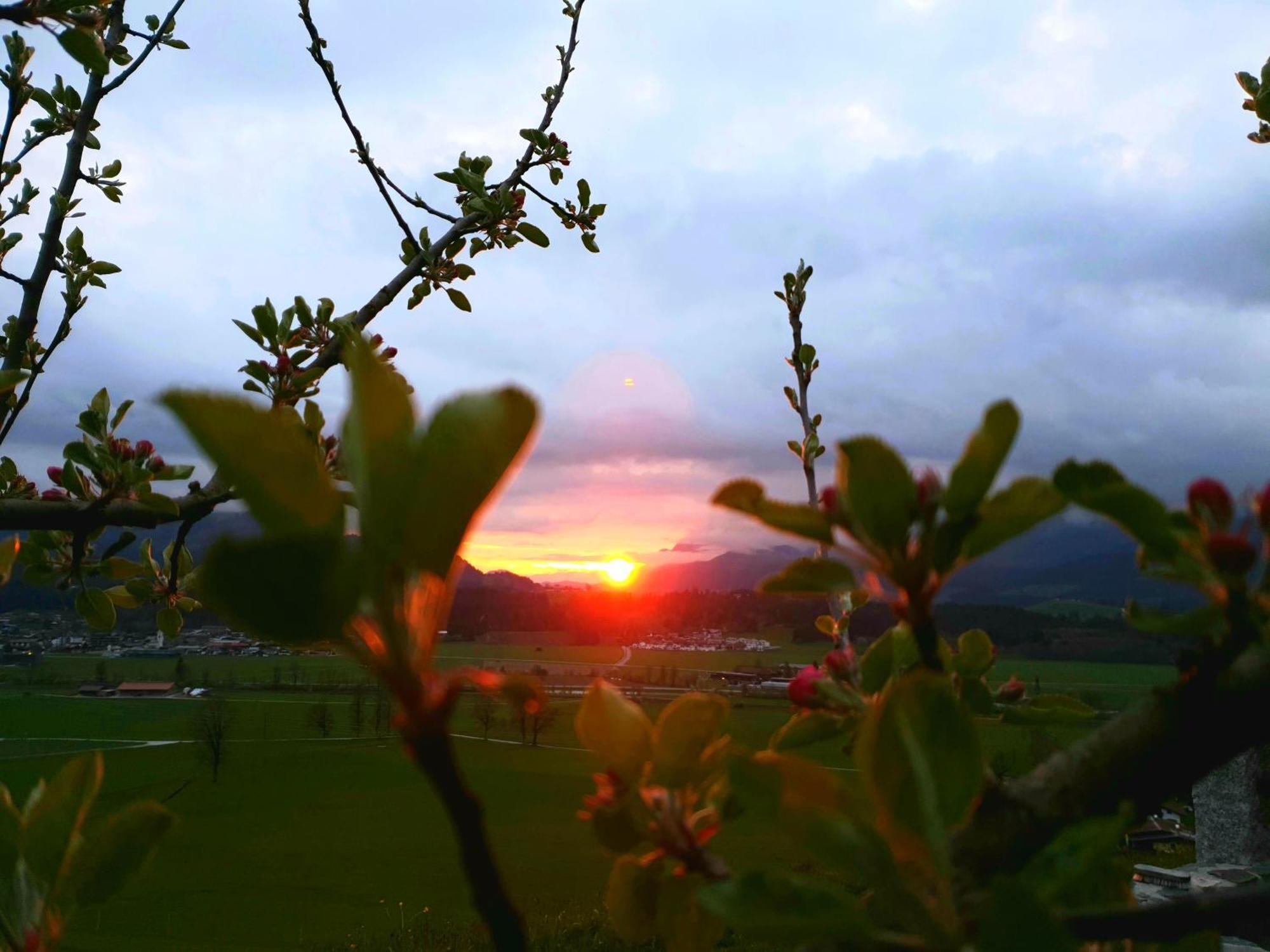 Griesbachhof-Wilder Kaiser Oberndorf in Tirol Luaran gambar